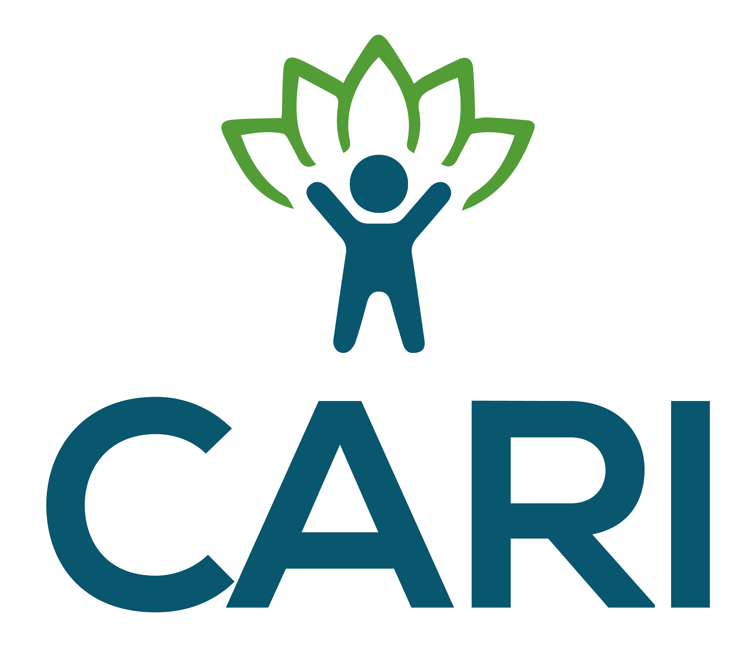 CARI